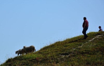 Panstwo Siepraccy i owieczki